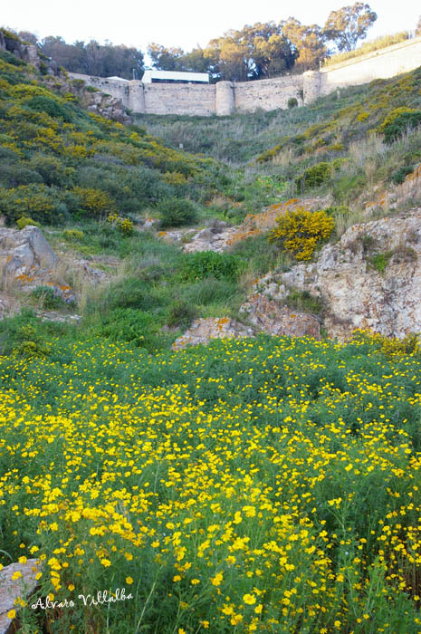 Foto de Ceuta, España