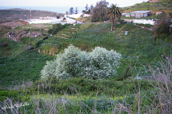 Foto de Ceuta, España