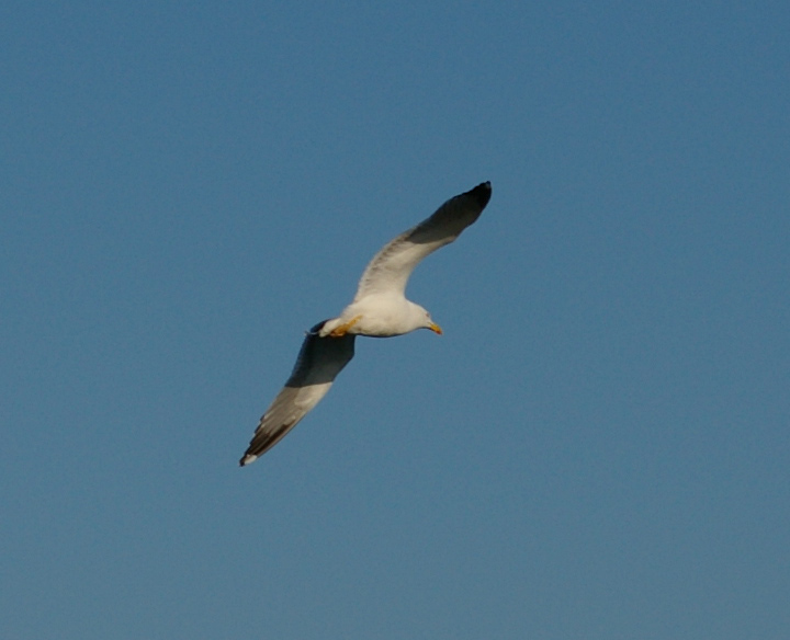 Foto de Ceuta, España