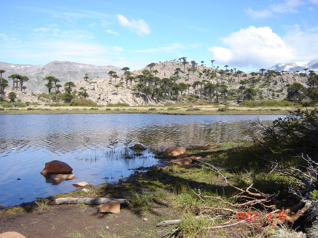Foto de Caviahue (Neuquén), Argentina