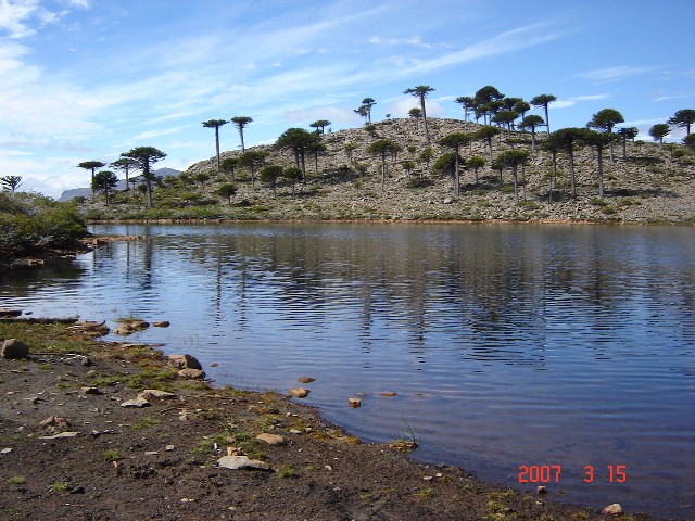 Foto de Caviahue (Neuquén), Argentina