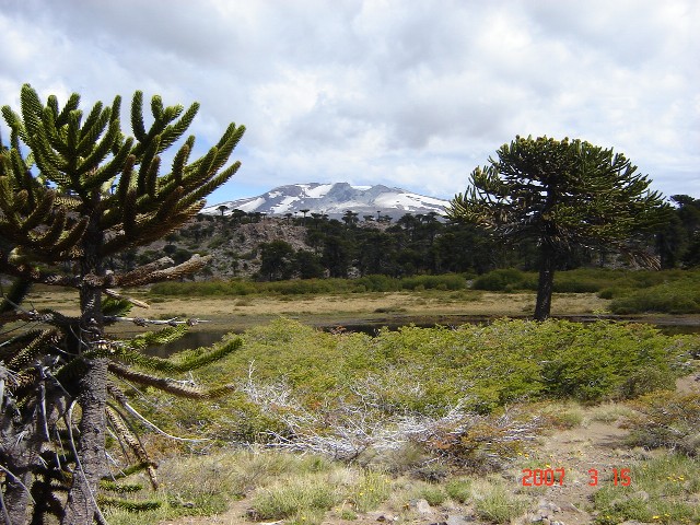 Foto de Caviahue (Neuquén), Argentina