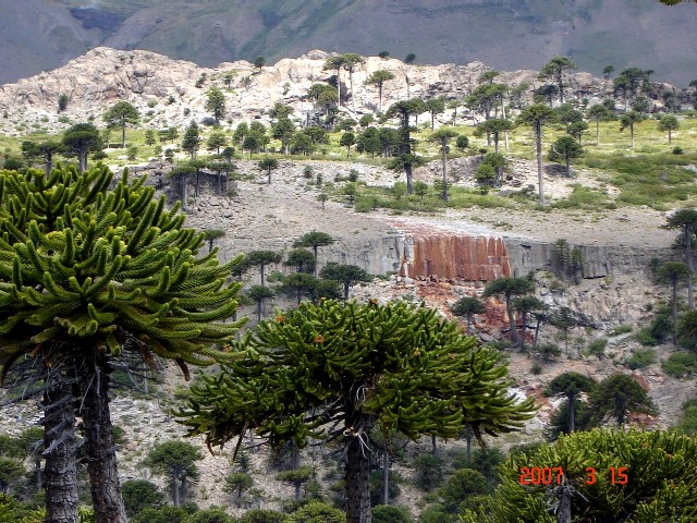 Foto de Caviahue (Neuquén), Argentina