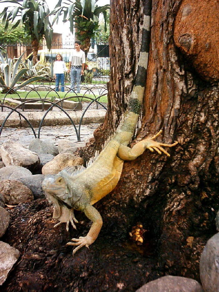 Foto de Guayaquil, Ecuador