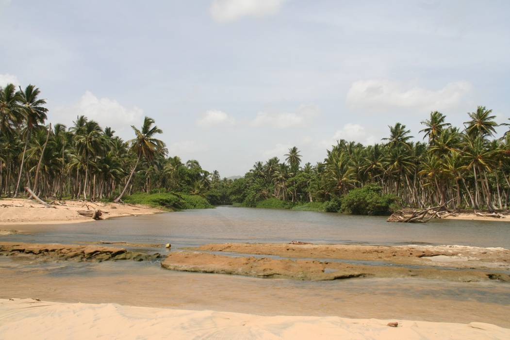 Foto de El Cedro, Miches, República Dominicana