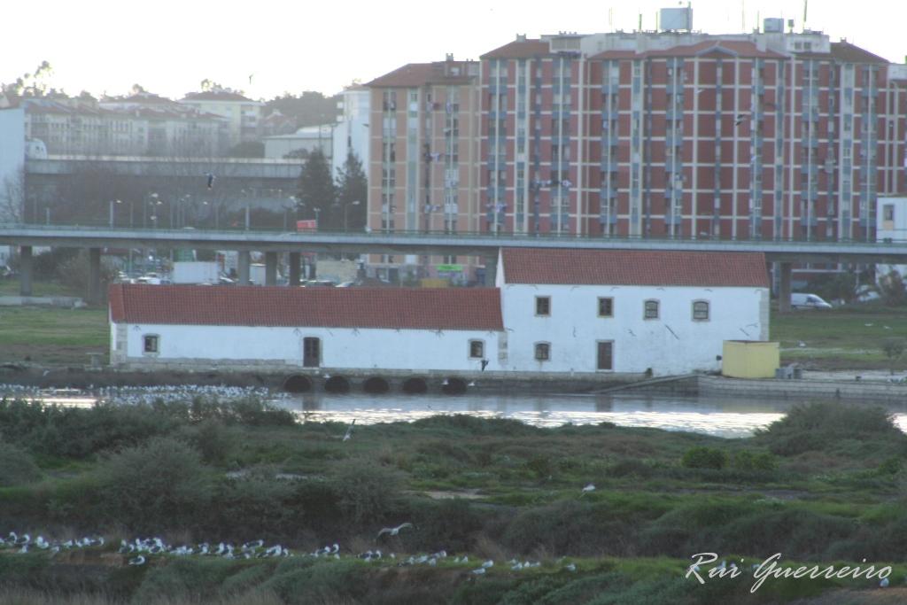 Foto de Corroios, Portugal