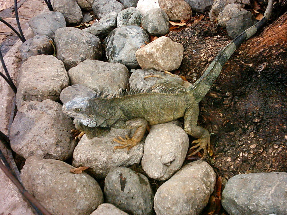 Foto de Guayaquil, Ecuador
