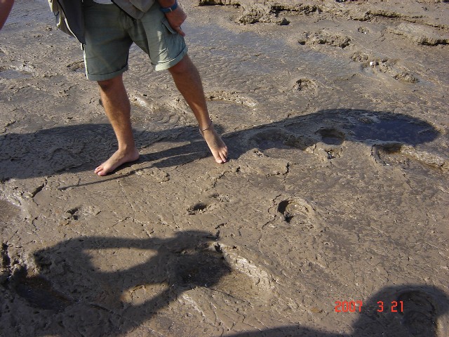 Foto de Monte Hermoso (Buenos Aires), Argentina