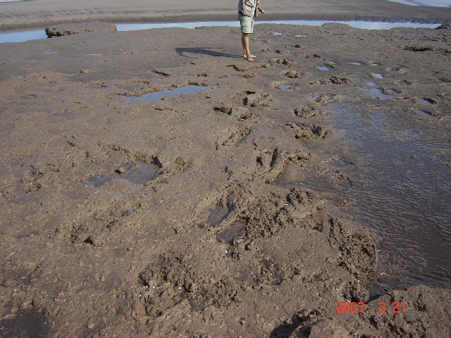 Foto de Monte Hermoso (Buenos Aires), Argentina