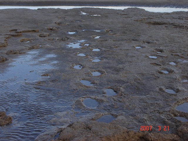 Foto de Monte Hermoso (Buenos Aires), Argentina