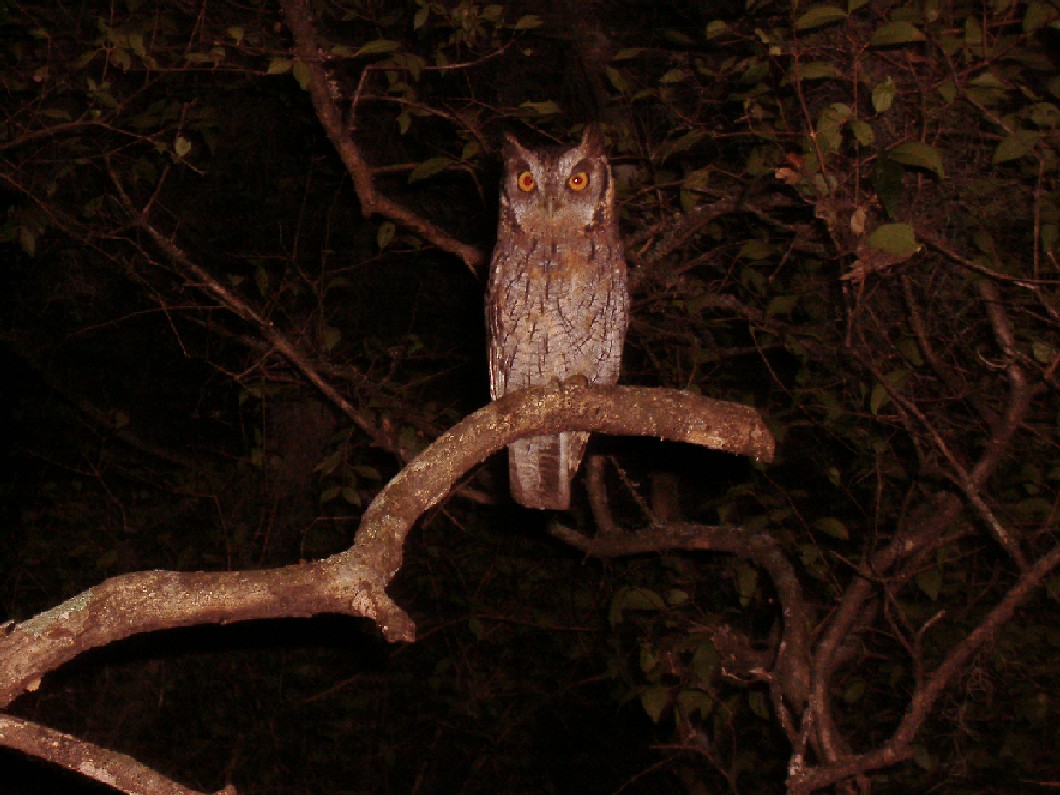Foto de Durazno, Uruguay