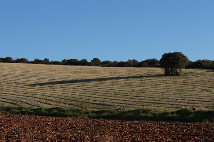 Foto de Coto Las Rochas (Ciudad Real), España