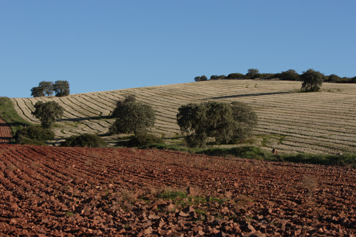 Foto de Coto Las Rochas (Ciudad Real), España