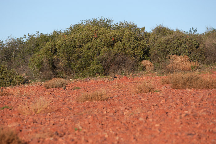 Foto de Coto Las Rochas (Ciudad Real), España