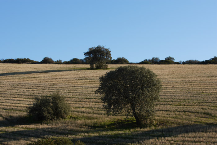 Foto de Coto Las Rochas (Ciudad Real), España