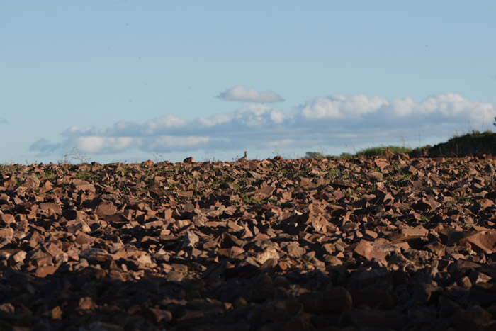 Foto de Coto Las Rochas (Ciudad Real), España