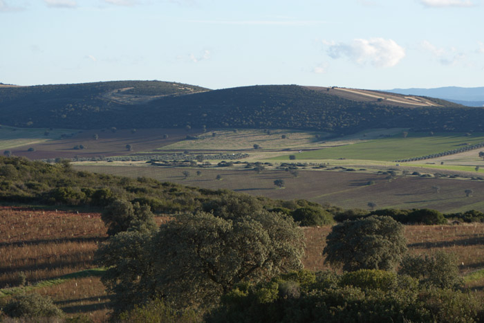 Foto de Coto Las Rochas (Ciudad Real), España