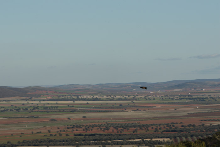 Foto de Coto Las Rochas (Ciudad Real), España
