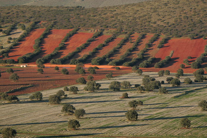 Foto de Coto Las Rochas (Ciudad Real), España
