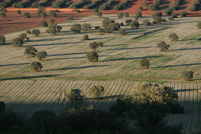 Foto de Coto Las Rochas (Ciudad Real), España
