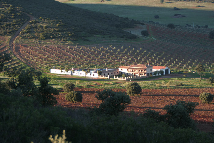 Foto de Coto Las Rochas (Ciudad Real), España