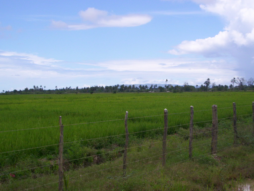 Foto de Arenoso, República Dominicana