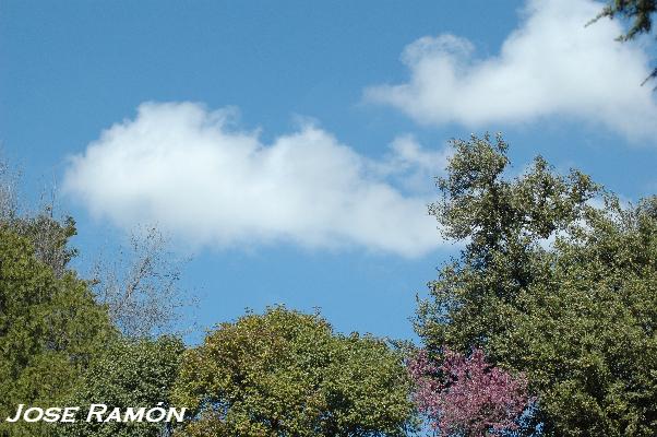 Foto de Jerez de la Frontera (Cádiz), España
