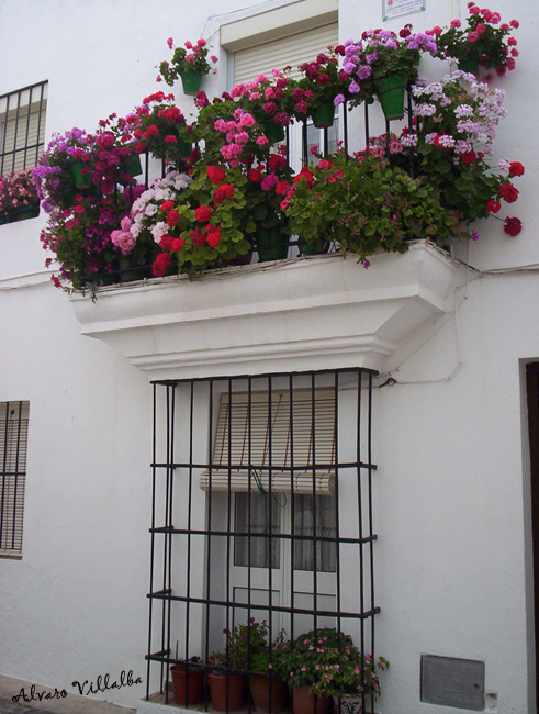 Foto de Vejer de la Frontera (Cádiz), España