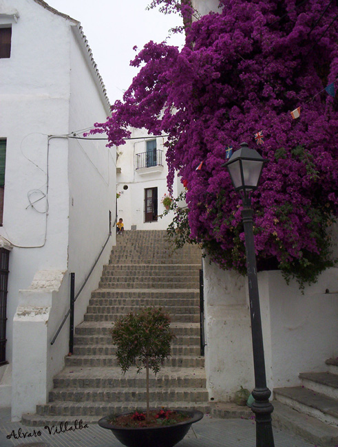 Foto de Vejer de la Frontera (Cádiz), España