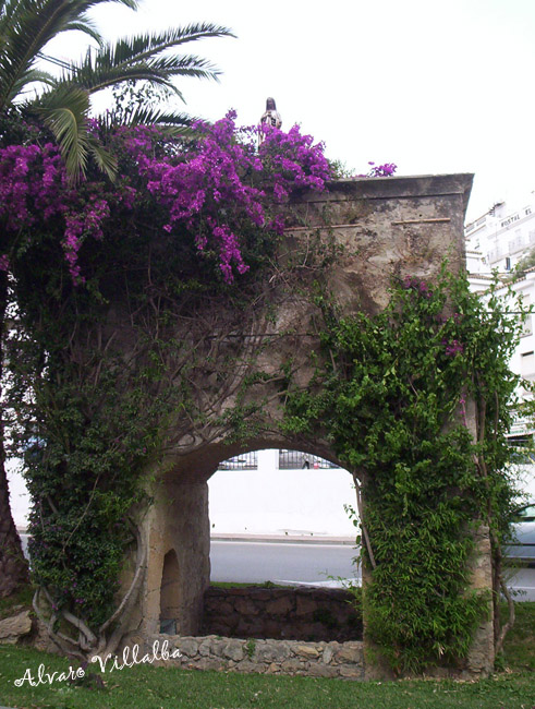 Foto de Vejer de la Frontera (Cádiz), España