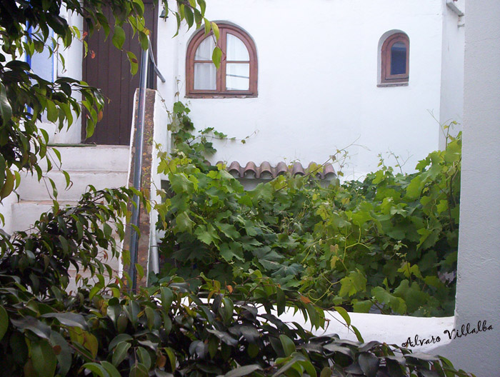 Foto de Vejer de la Frontera (Cádiz), España