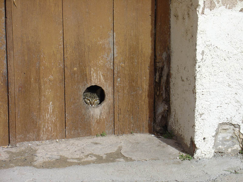 Foto de El Tormo (Castelló), España