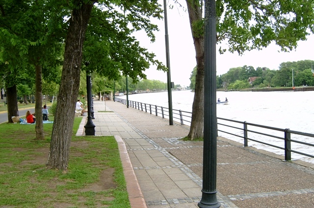 Foto de Delta del Tigre (Buenos Aires), Argentina