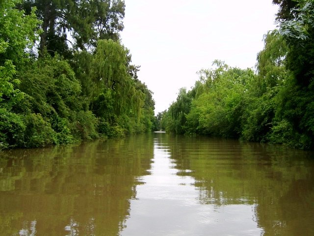 Foto de Delta del Tigre (Buenos Aires), Argentina