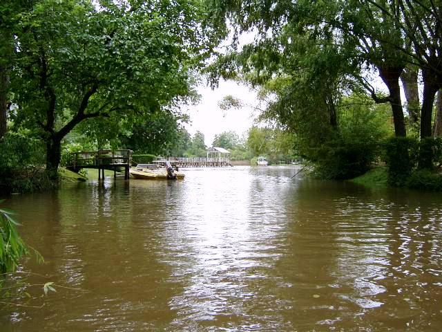 Foto de Delta del Tigre (Buenos Aires), Argentina