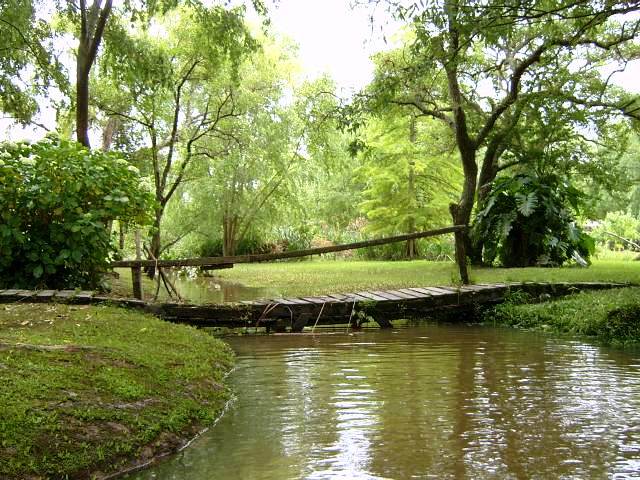 Foto de Delta del Tigre (Buenos Aires), Argentina