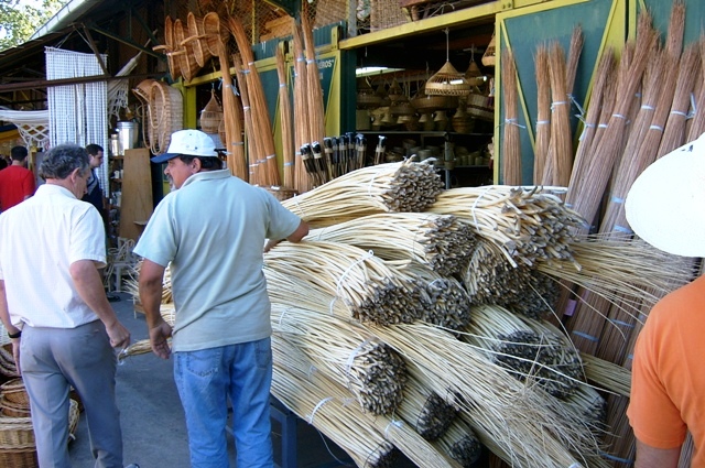 Foto de Delta del Tigre (Buenos Aires), Argentina