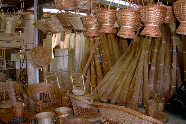 Foto de Delta del Tigre (Buenos Aires), Argentina