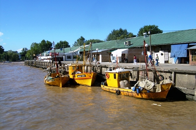 Foto de Delta del Tigre (Buenos Aires), Argentina