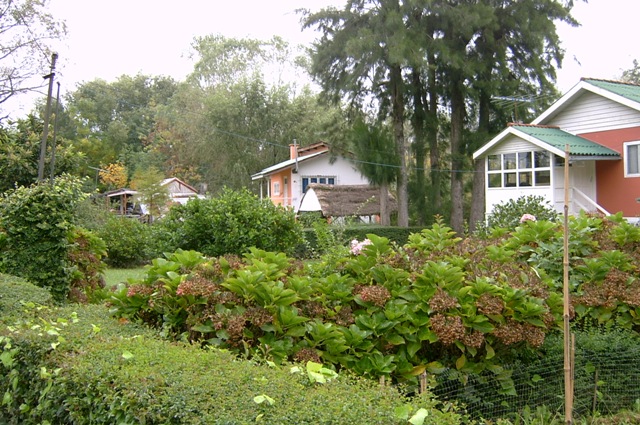 Foto de Delta del Tigre (Buenos Aires), Argentina