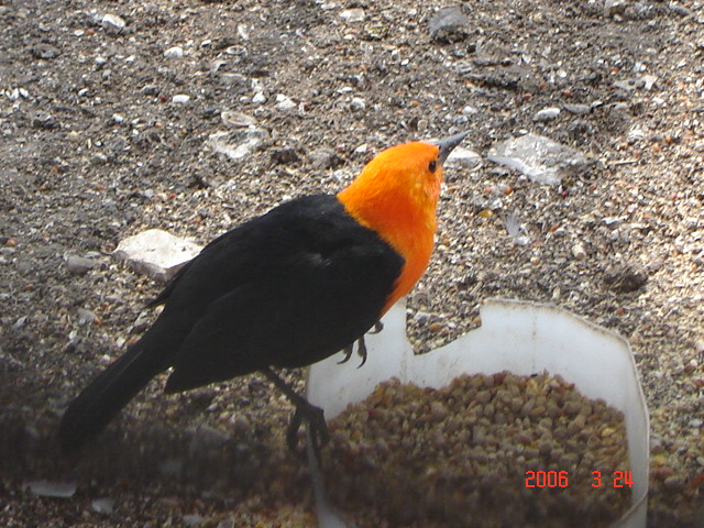 Foto de Buenos Aires, Argentina