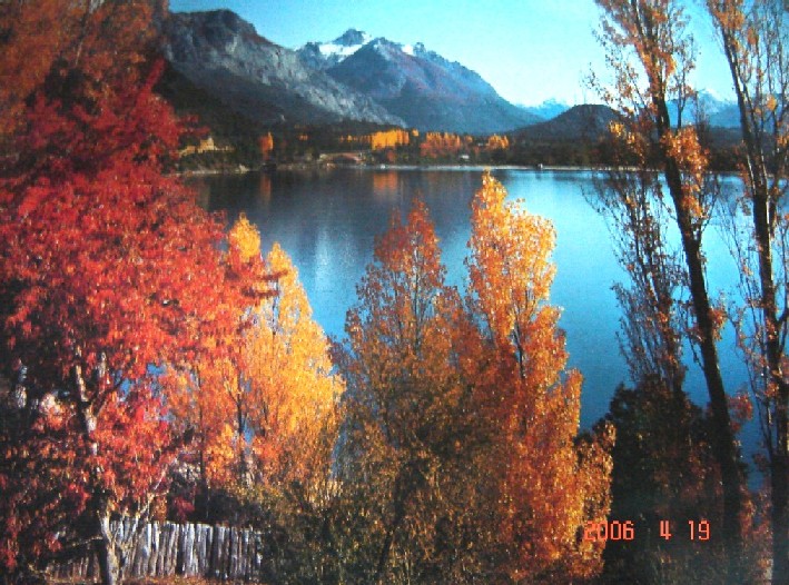Foto de Isla Victoria, Neuquén., Argentina