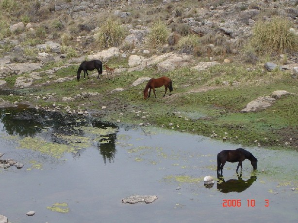 Foto de Trapiche, San Luis., Argentina