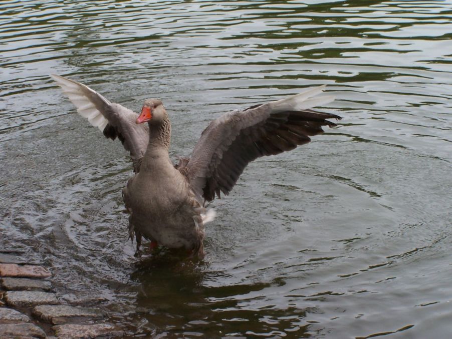 Foto de Buenos Aires, Argentina