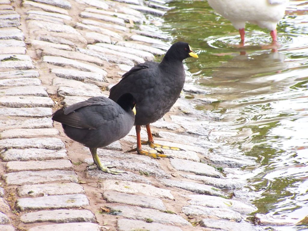 Foto de Buenos Aires, Argentina