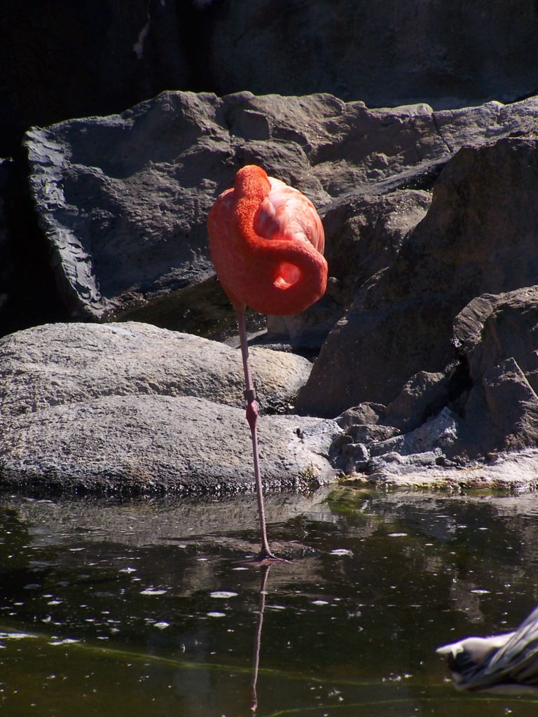 Foto de Benavídez, Buenos Aires, Argentina