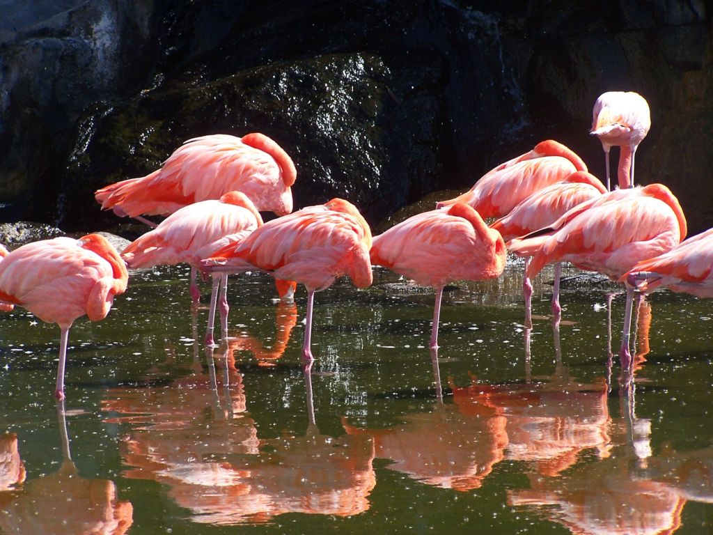 Foto de Benavídez, Buenos Aires, Argentina