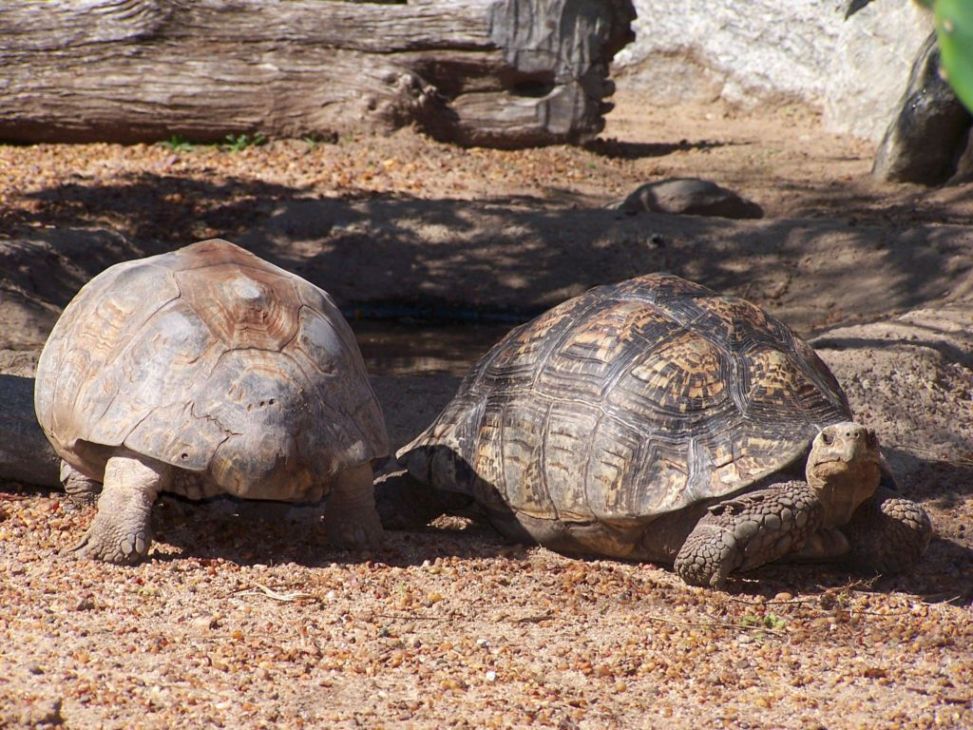 Foto de Benavídez, Buenos Aires, Argentina
