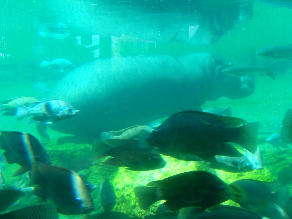 Foto de Benavídez, Buenos Aires, Argentina