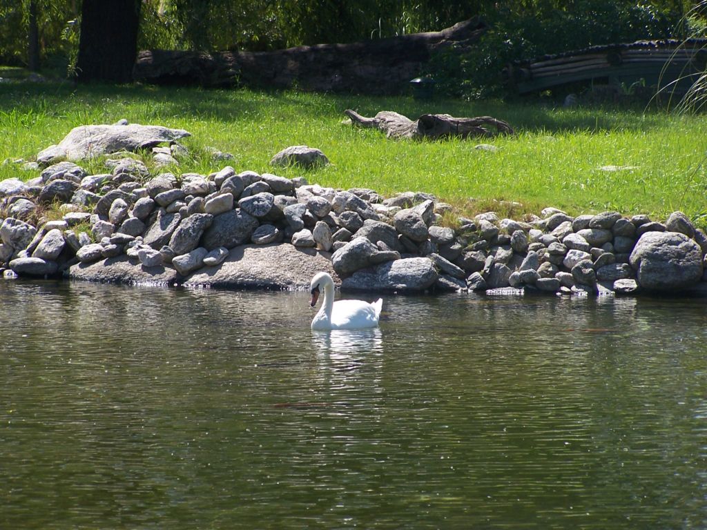 Foto de Benavídez, Buenos Aires, Argentina